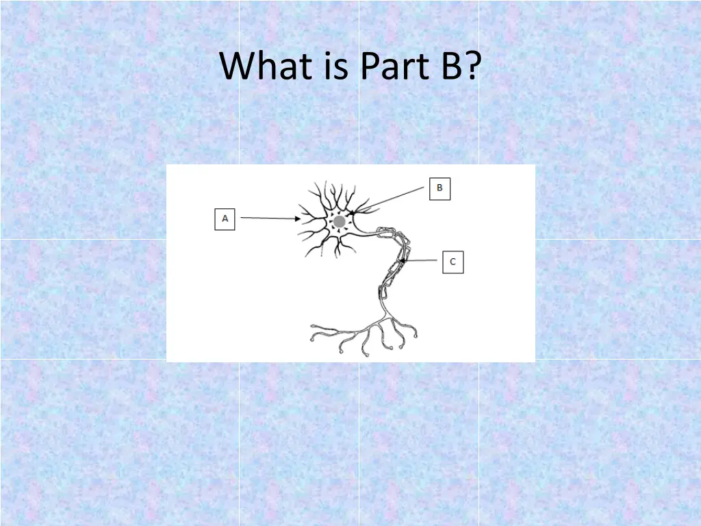 what is part b