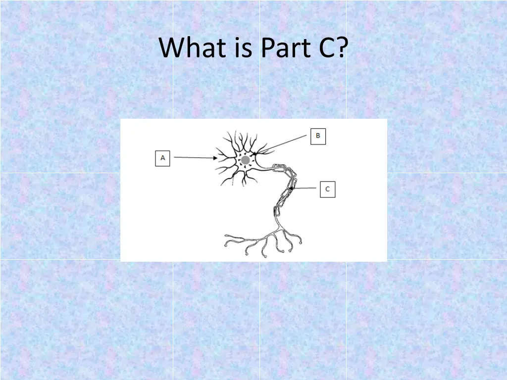 what is part c