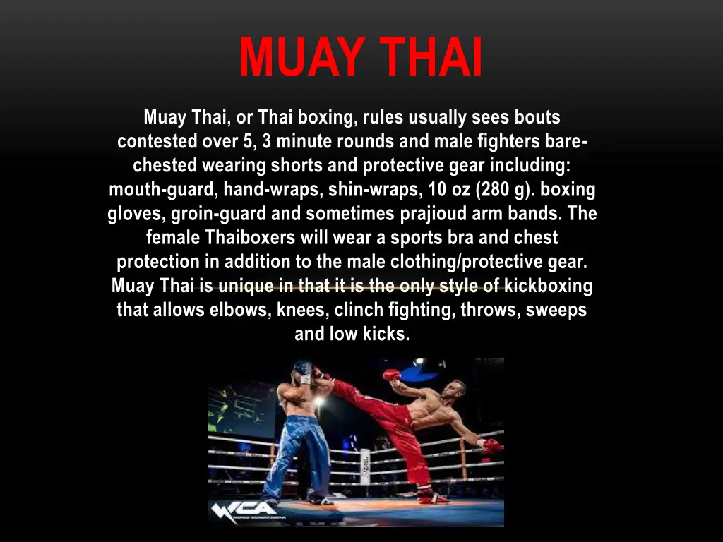 muay thai