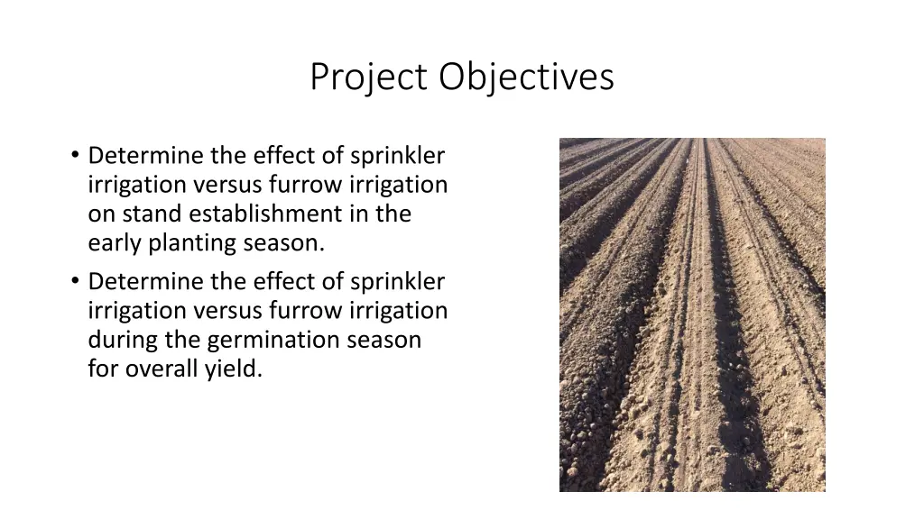 project objectives