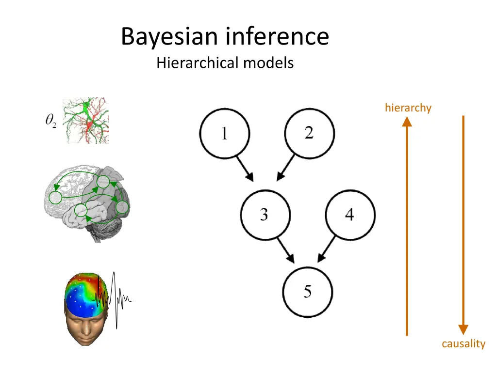 bayesian inference hierarchical models