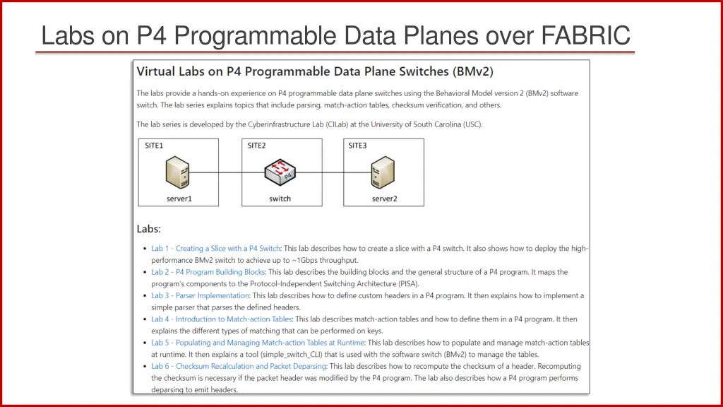 labs on p4 programmable data planes over fabric 1