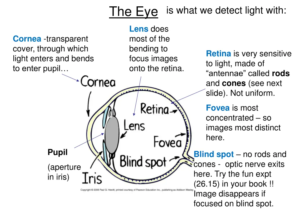 the eye is what we detect light with