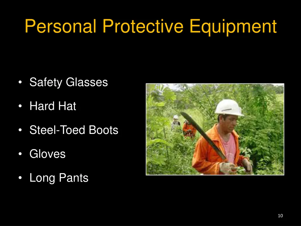 personal protective equipment