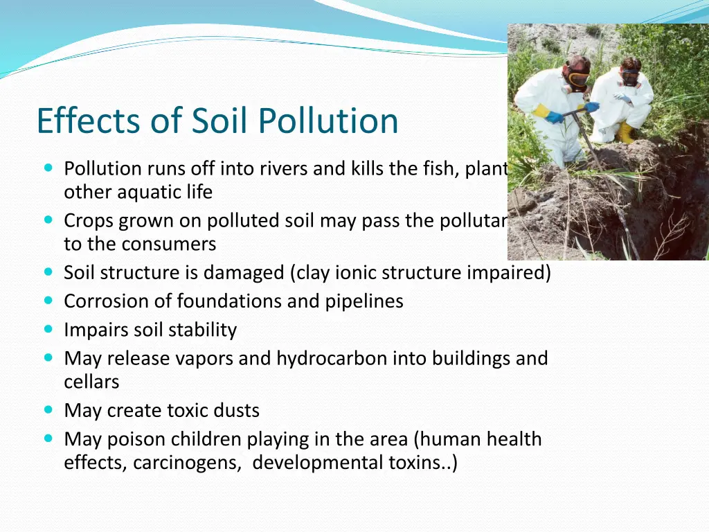 effects of soil pollution