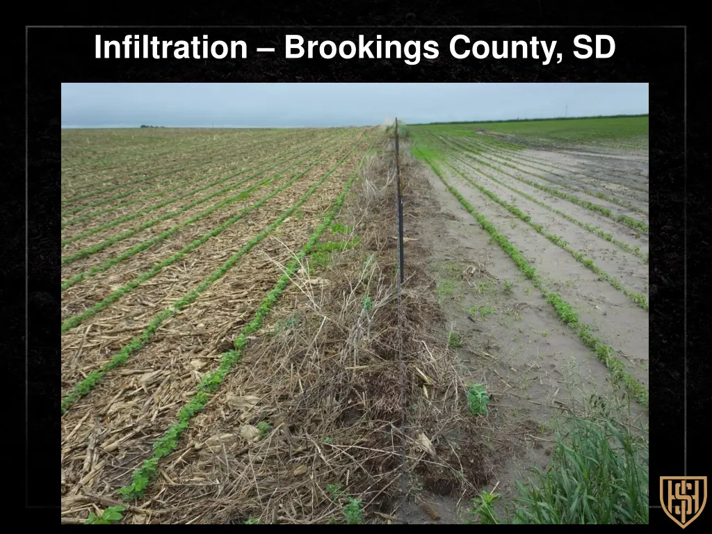 infiltration brookings county sd