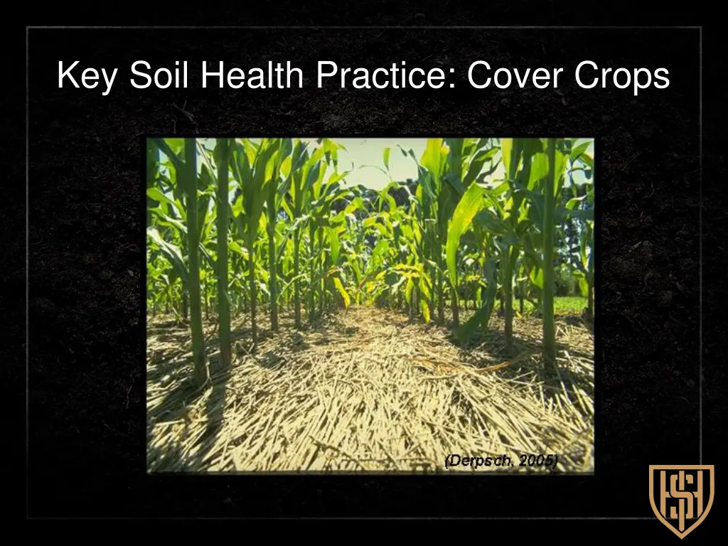 key soil health practice cover crops