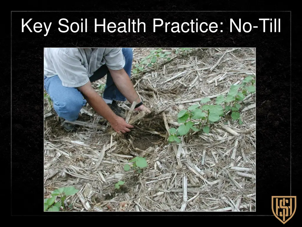 key soil health practice no till