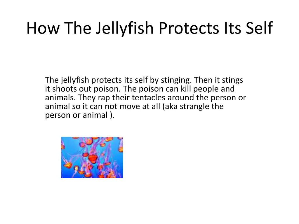 how the jellyfish protects its self