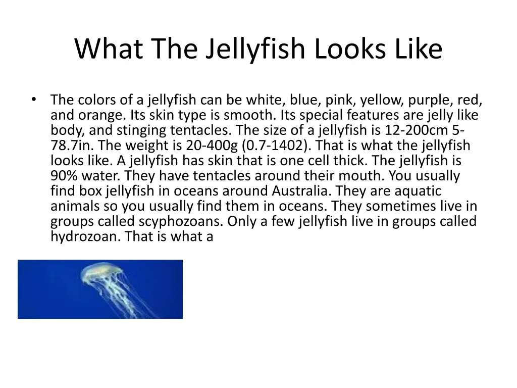 what the jellyfish looks like