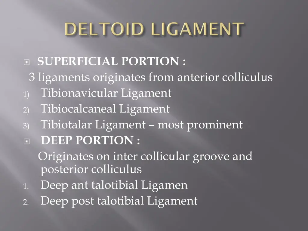 superficial portion 3 ligaments originates from