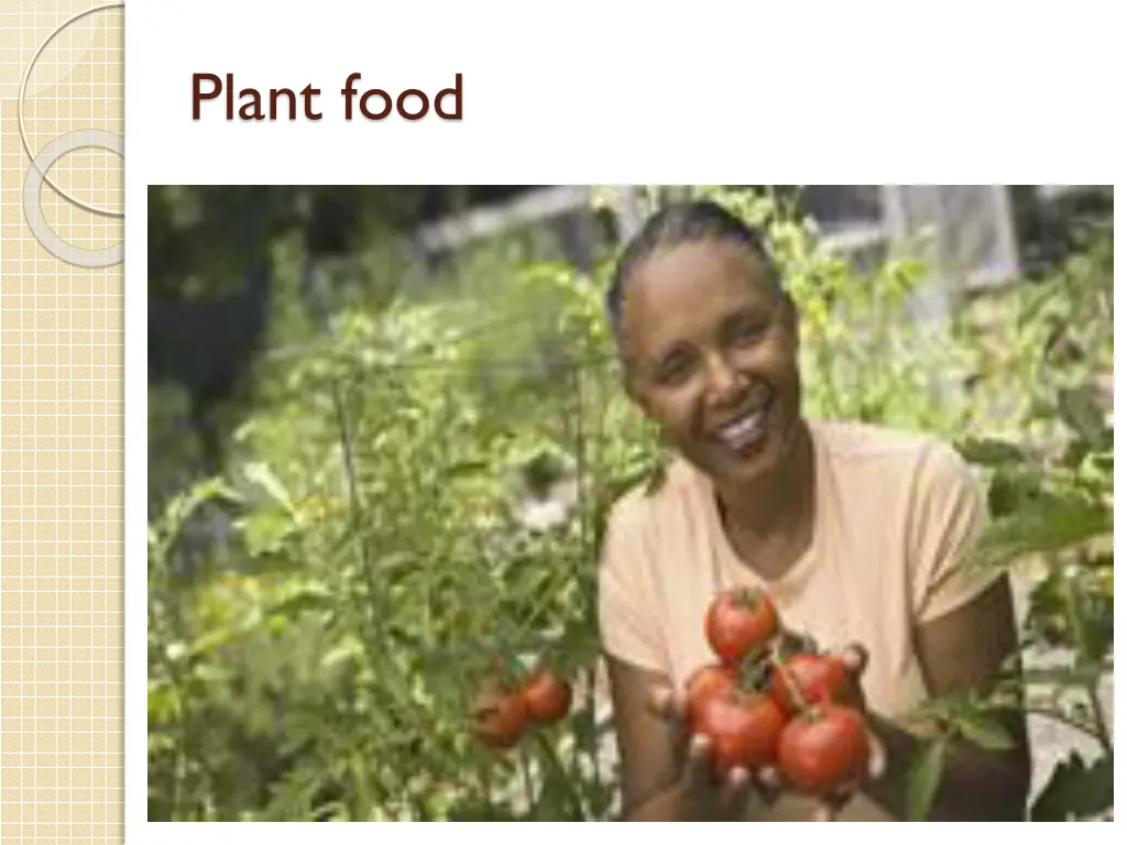 plant food