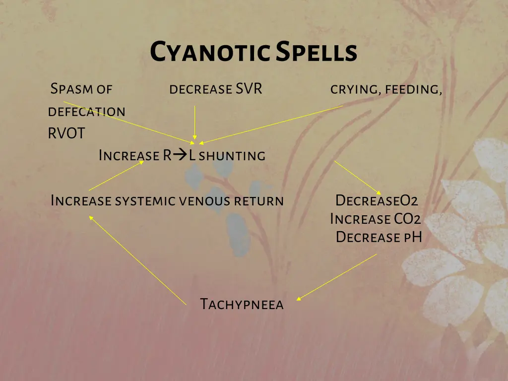 cyanotic spells spasm of decrease svr crying