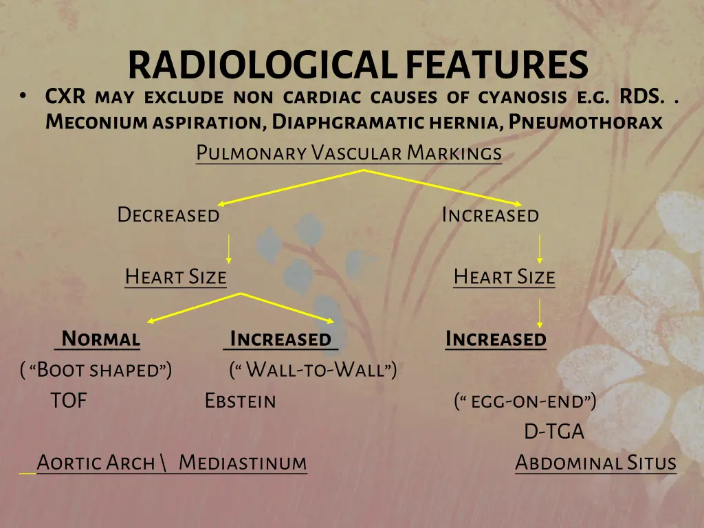 radiological features cxr may exclude non cardiac