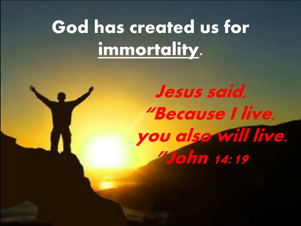 god has created us for immortality