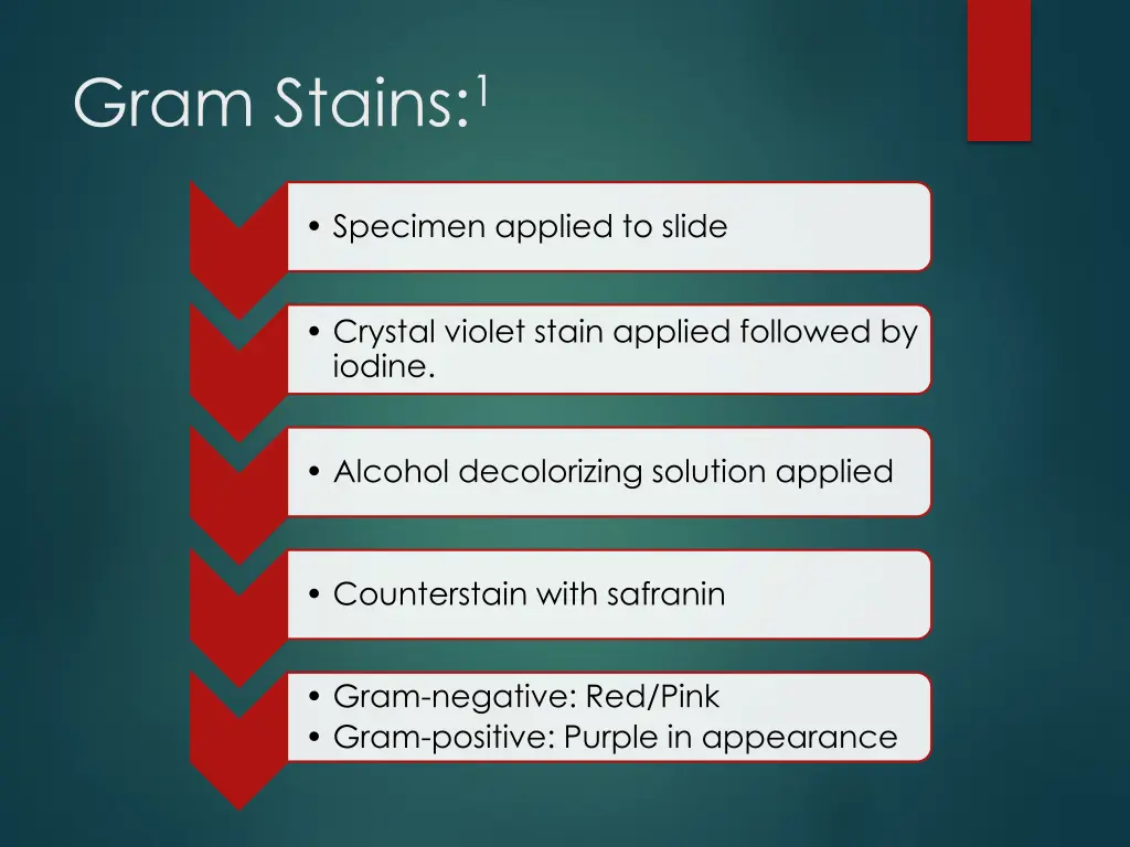 gram stains 1