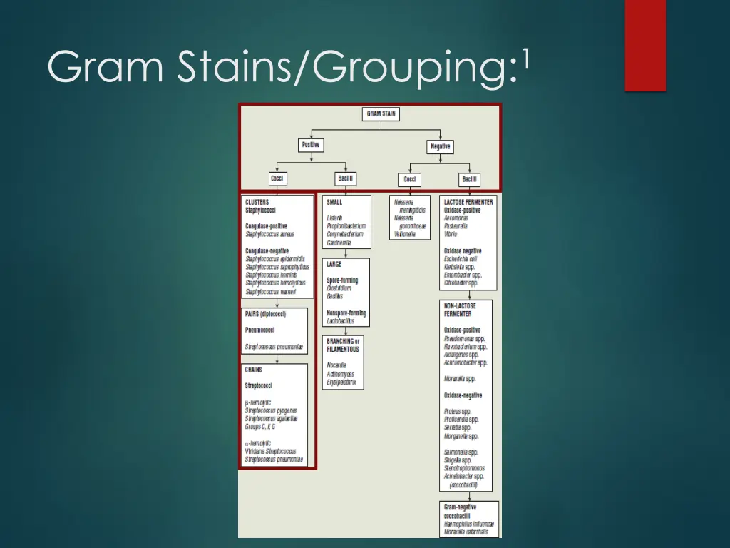 gram stains grouping 1