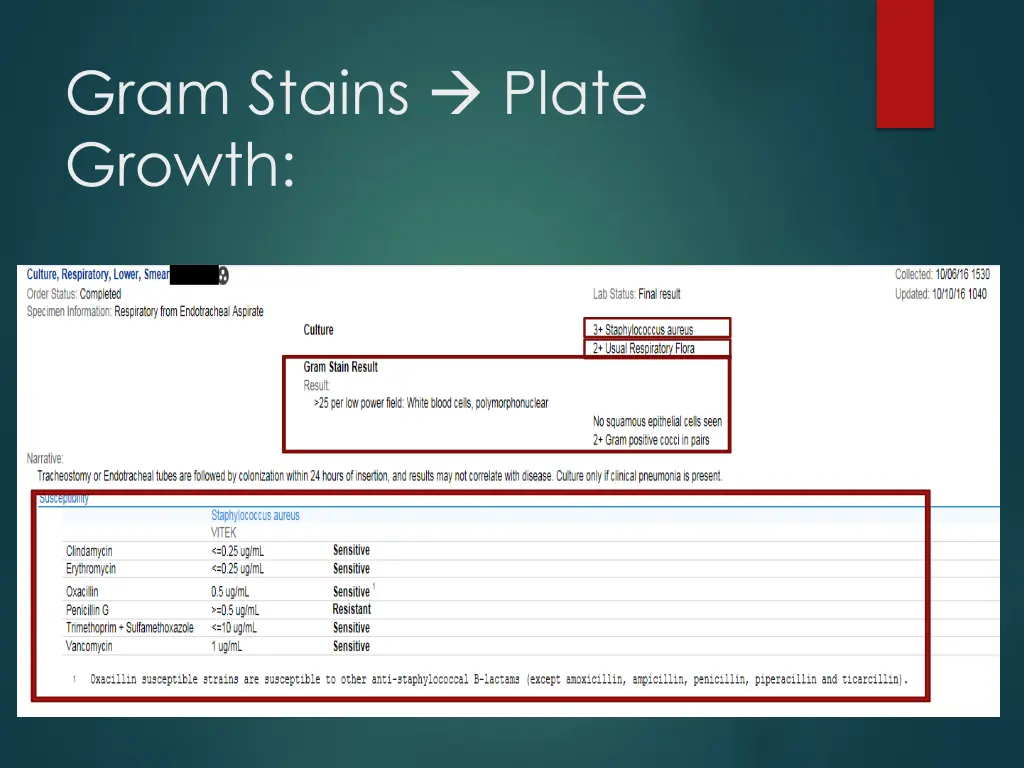 gram stains plate growth