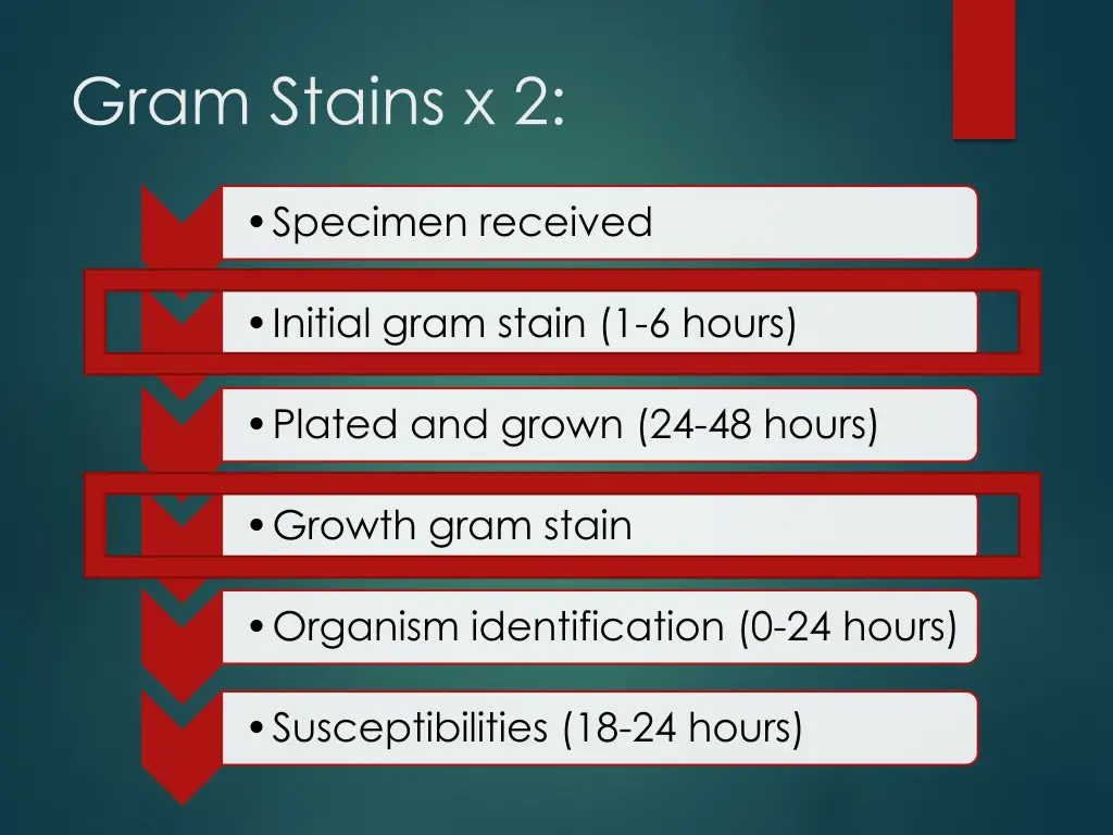 gram stains x 2