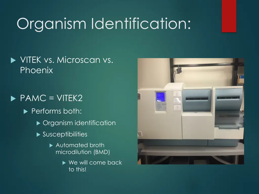 organism identification 1