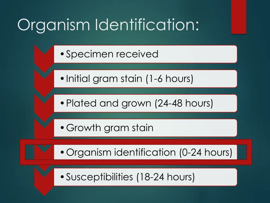 organism identification