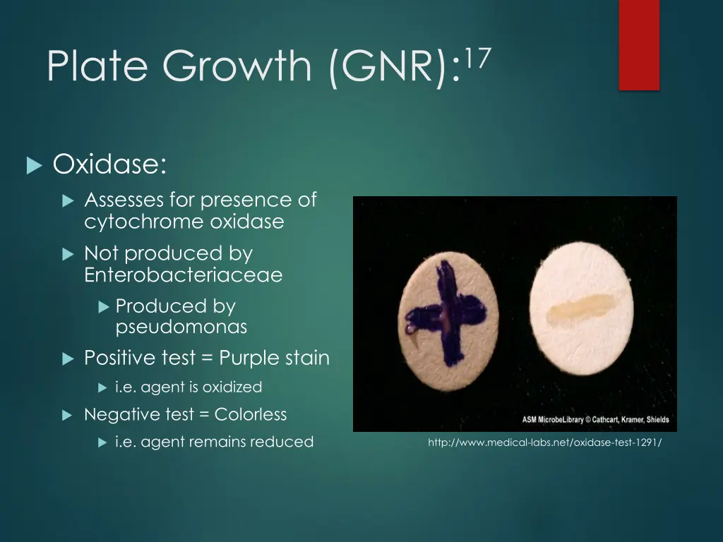 plate growth gnr 17 1