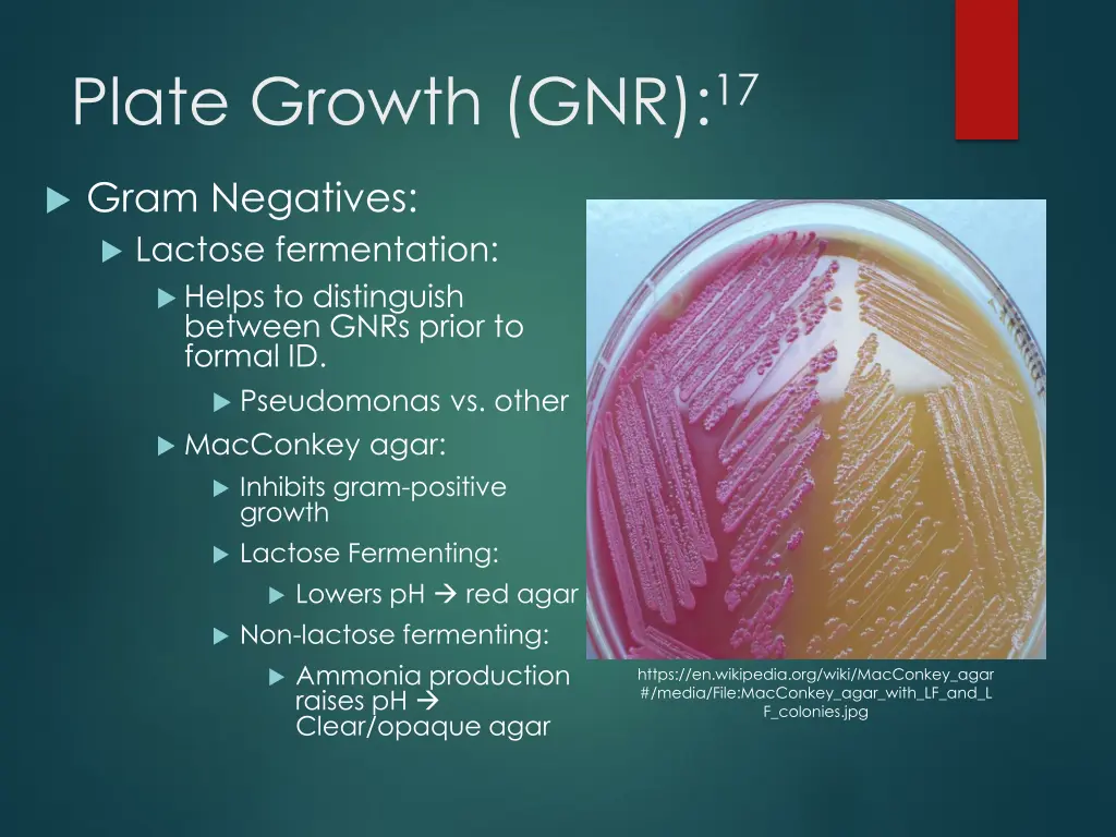 plate growth gnr 17