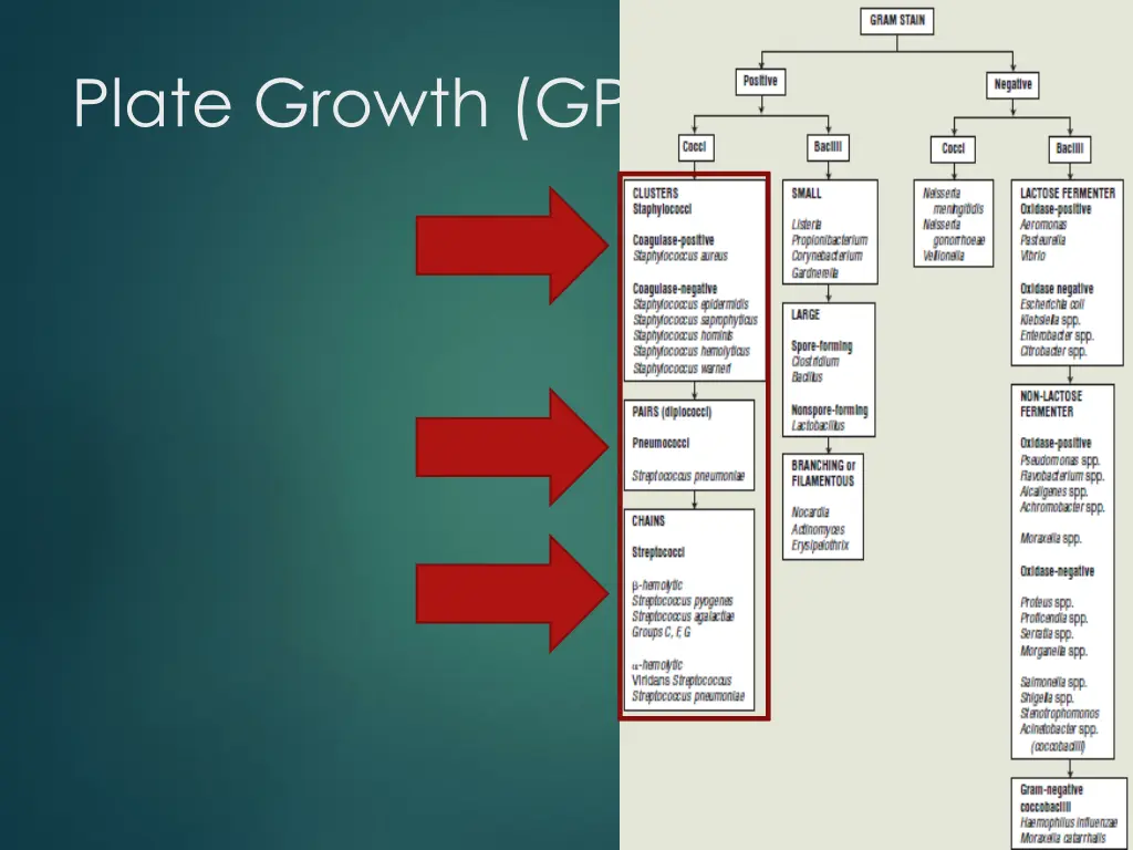 plate growth gpc 1