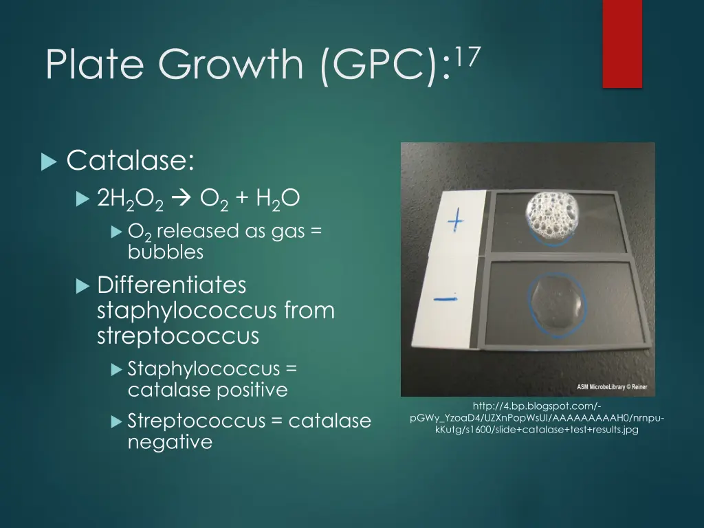 plate growth gpc 17