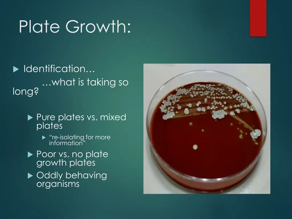 plate growth