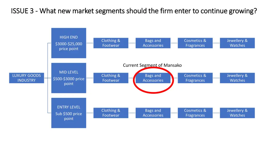 issue 3 issue 3 what new market segments should 1