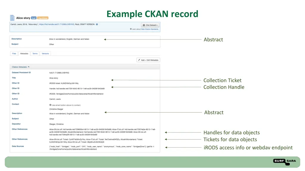 example ckan record