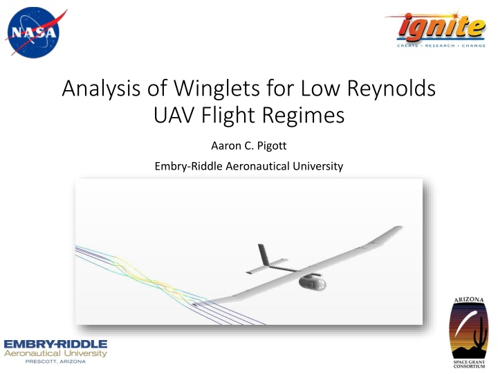 analysis of winglets for low reynolds uav flight