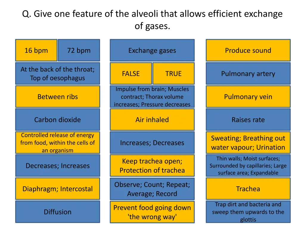 q give one feature of the alveoli that allows