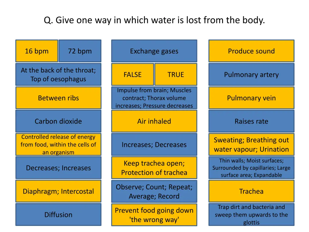 q give one way in which water is lost from