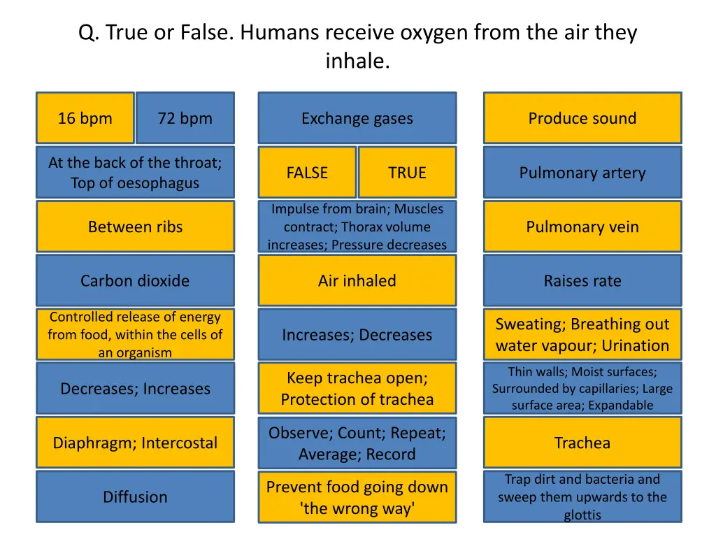 q true or false humans receive oxygen from