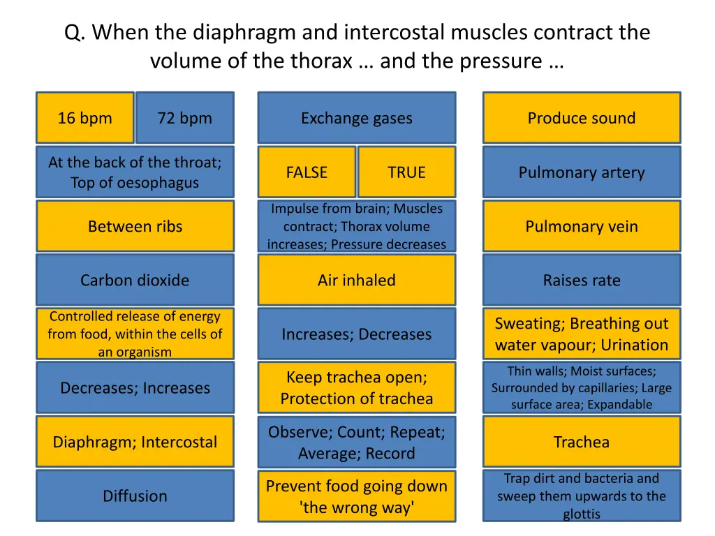 q when the diaphragm and intercostal muscles