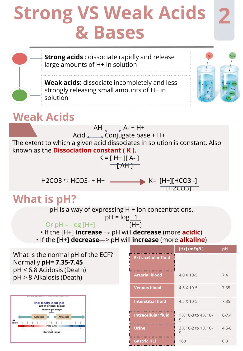 strong vs weak acids bases