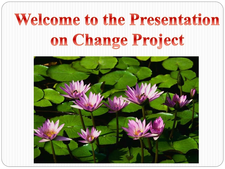 welcome to the presentation on change project