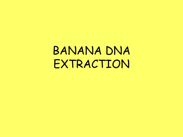 banana dna extraction