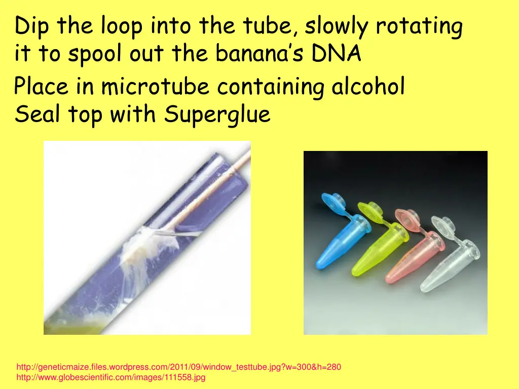 dip the loop into the tube slowly rotating