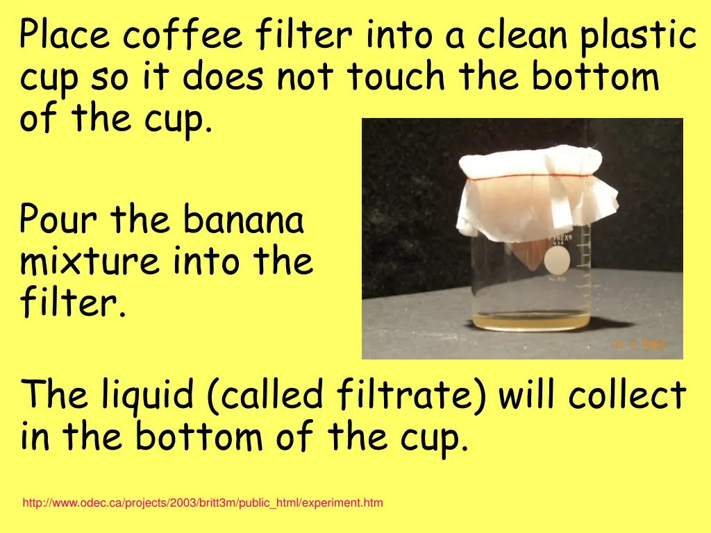 place coffee filter into a clean plastic