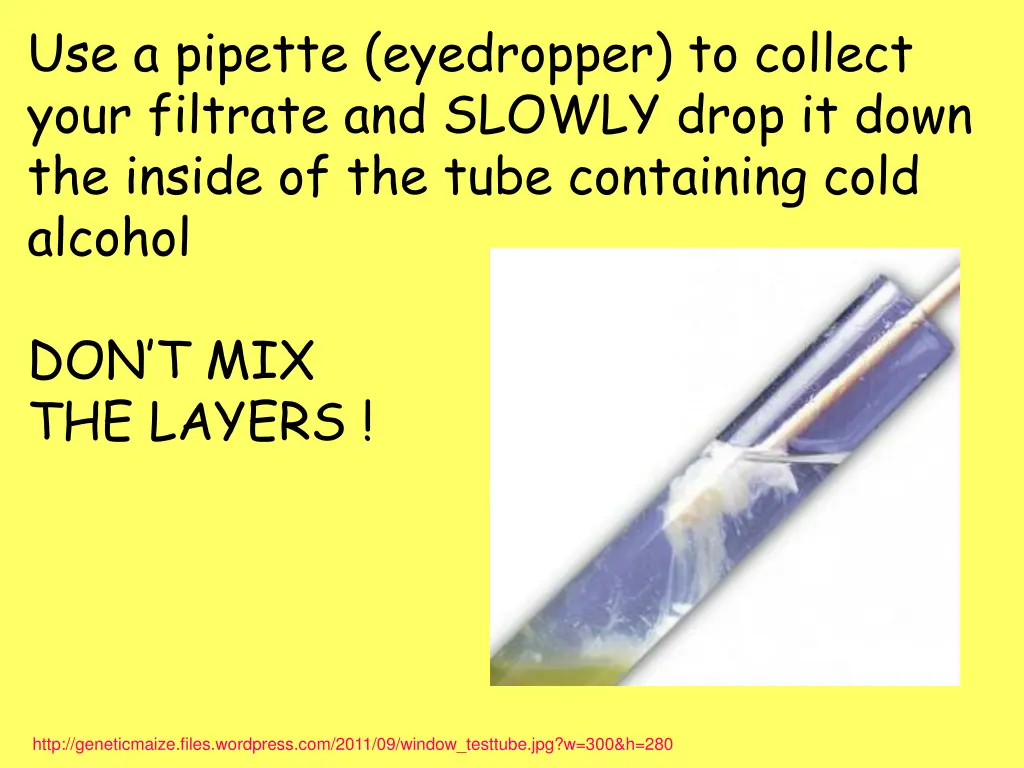 use a pipette eyedropper to collect your filtrate