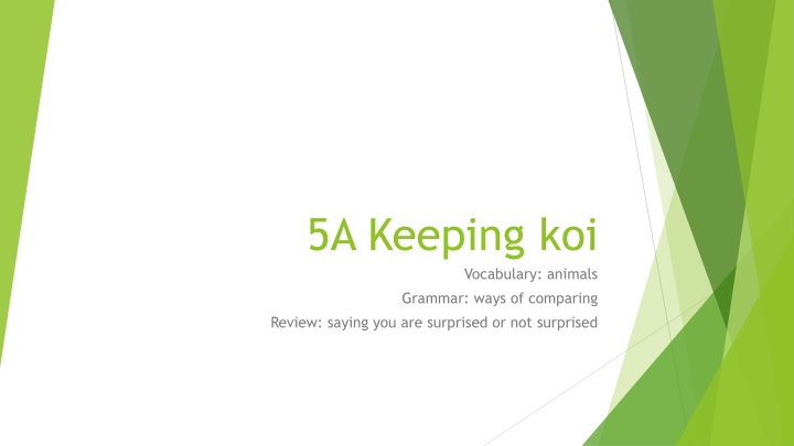 5a keeping koi