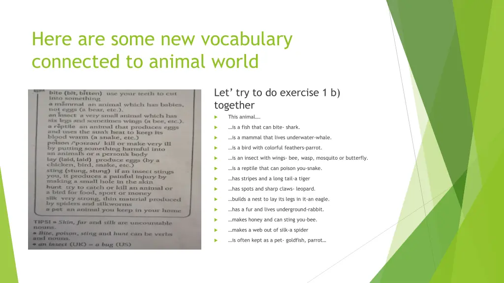 here are some new vocabulary connected to animal