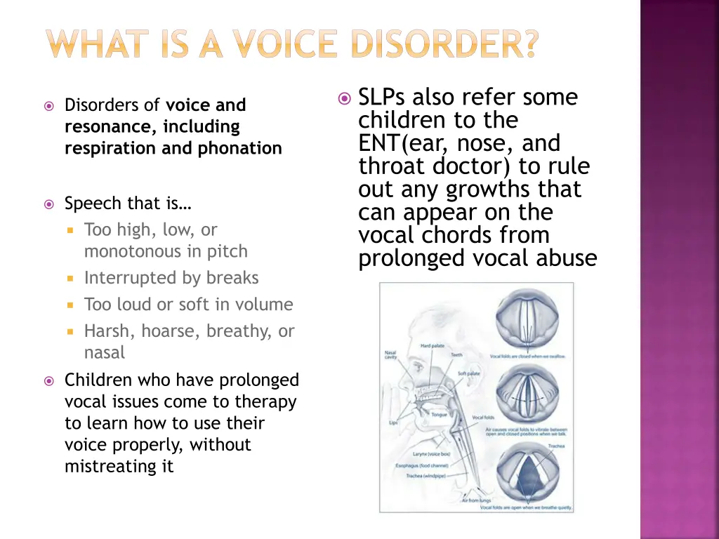 what is a voice disorder