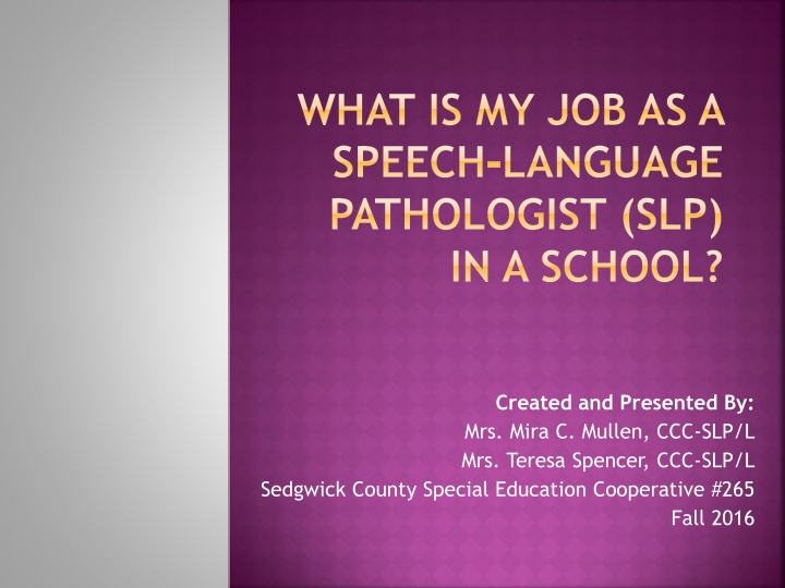 what is my job as a speech language pathologist