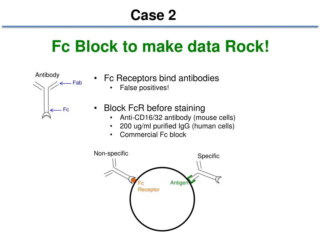 case 2 1