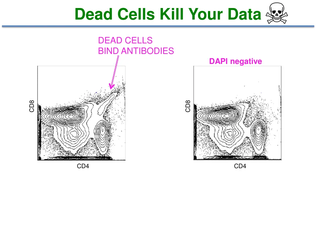 dead cells kill your data