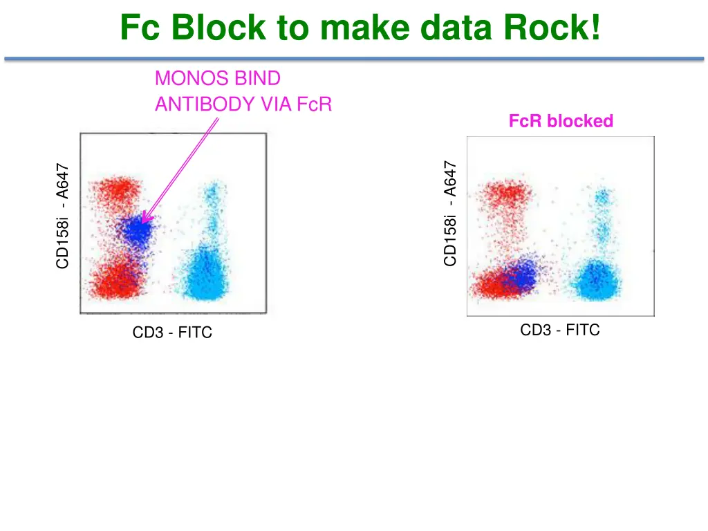 fc block to make data rock